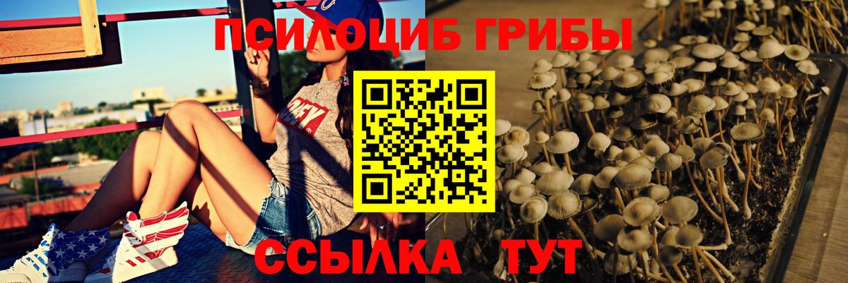 Псилоцибиновые грибы Psilocybe  Вход с VPN  Лысьва 